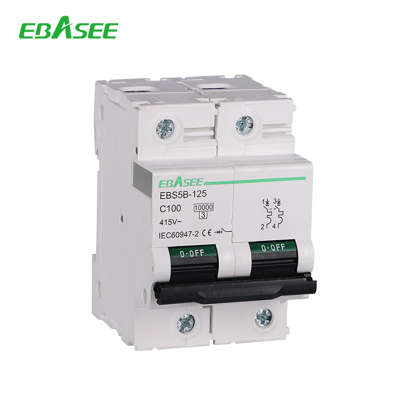 EBS5B-125 2P miniature circuit breaker MCB